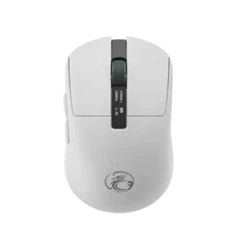 iMICE G200 Rechargeable Wireless Mouse-IOSBD